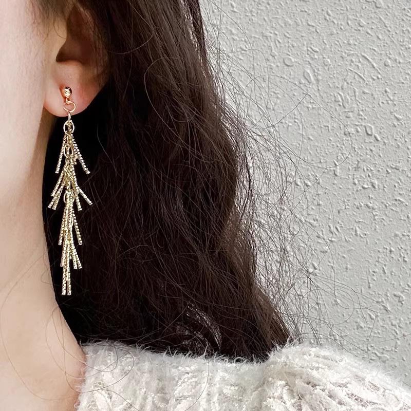 Exquisite 2026 Light Luxury Tassel Earrings - Personalized, High-End, Long Stud Ear Jewelry