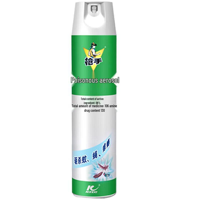 Raid Insecticidal Aerosol Spray 600ML