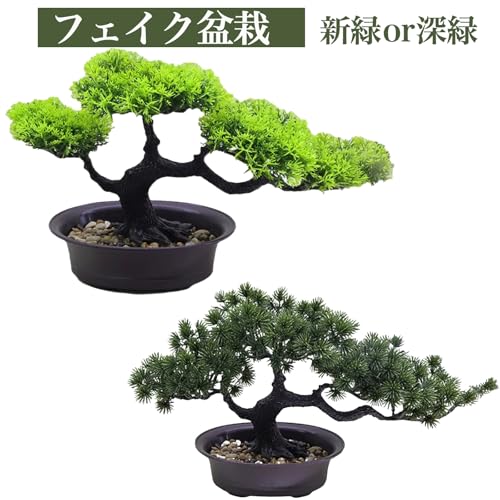 Hyack Mini Bonsai Pine Dried Bonsai Tabletop Faux Greenery, Long-lasting Artificial Plant, Easy to Care for (Dark Green)