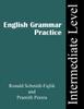 The Grammar Practice : Intermediate Level Book