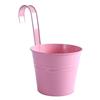 Yingtang Hanging Flower Pot with Removable Hook