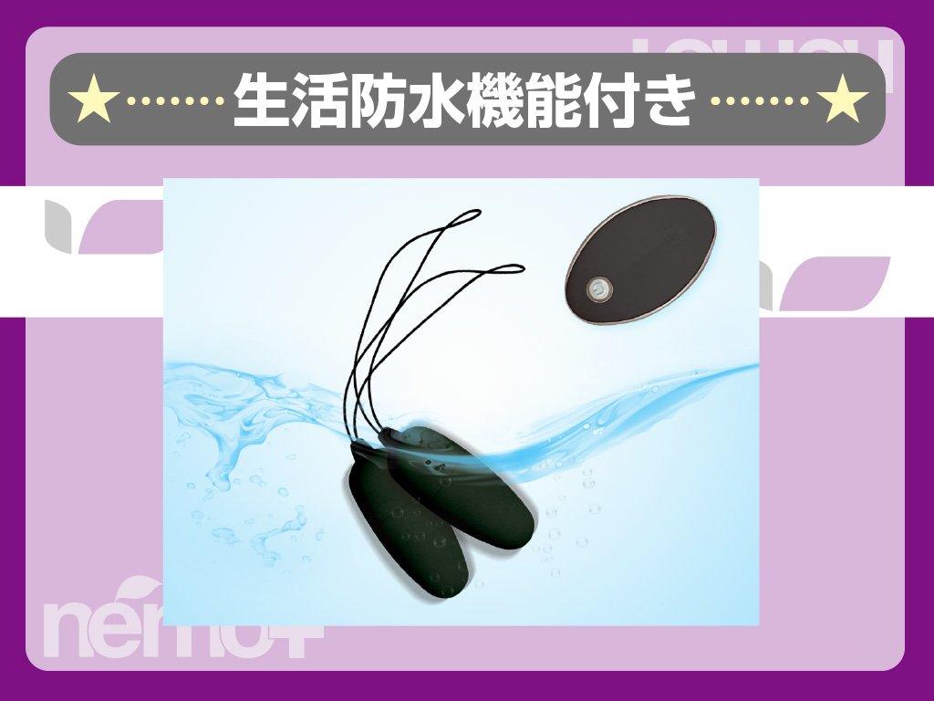 JAPANTOYZ ~Love&Leaf~ nemo Plus Neo Wireless Remote Control Vibrator (2 Vibrators Version) Black