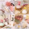 Dried Flower DIY Craft Kit Realistic Preserved Multi-Color Flower for Candle Gypsum Photo Frame Activity Material Pack