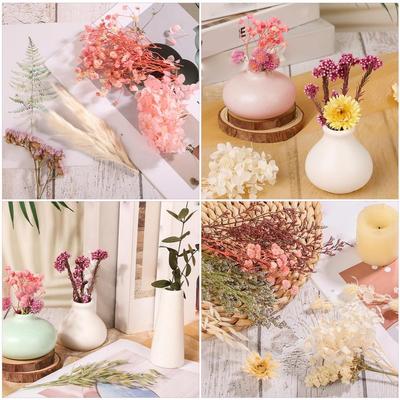 Kit de Artesanato DIY com Flores Secas Flores Multicores Realistas Conservadas para Vela Gesso Porta-Retrato Pacote de Materiais para Atividade