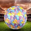 Care Bears Print Size 5 Soccer Ball, Standard Match Football for Sports Game and Team Practice, Ideal Gift for Soccer Fans