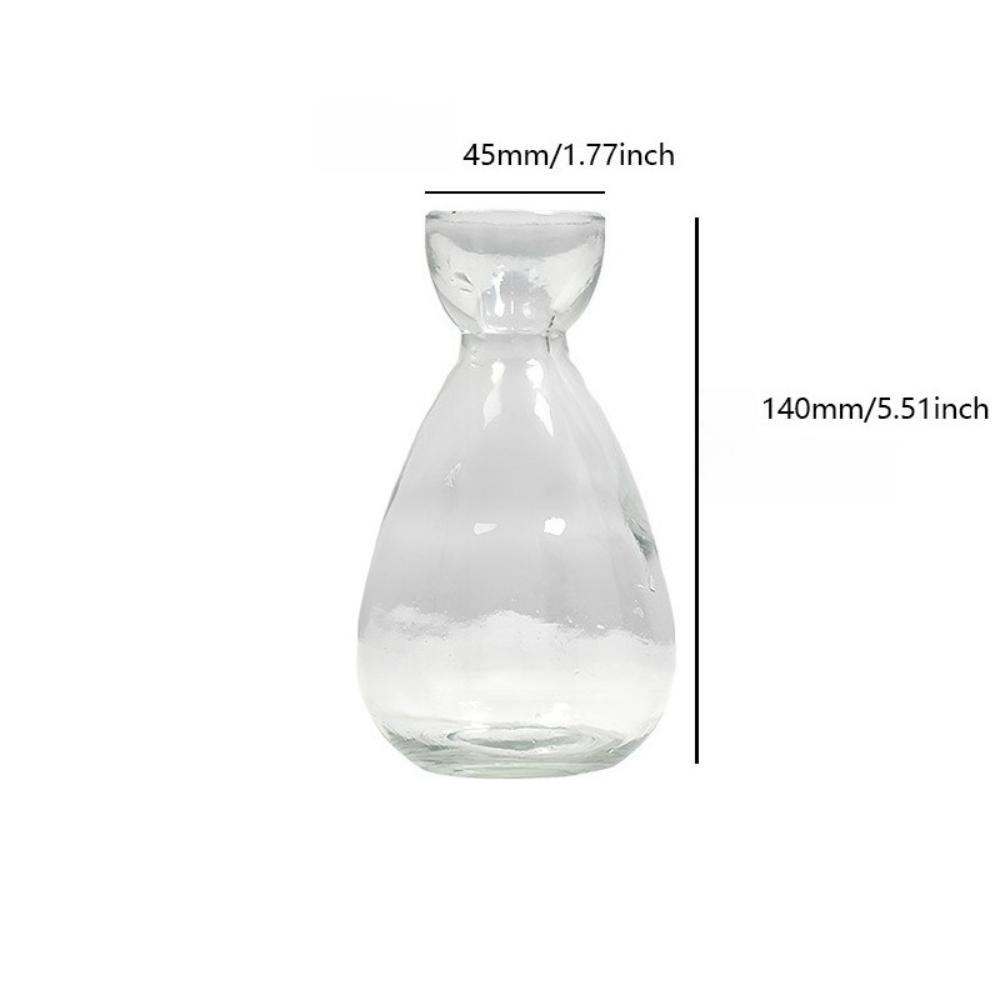 Kreativní váza Skleněná hydroponická váza na semena Skleněná váza Váza na avokádo Domácí dekorace na stůl Hydroponická ozdoba Milovníci zahradničení