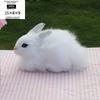 Farmhouse Plush Bunny Toy With Handcrafted Design For Home Decor And Photography Props