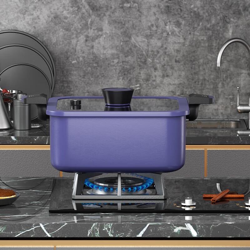 

BURNELL Micro-pressure Multipurpose Cooking Pot