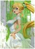 Clear File Exchronicle Kyoto Sword Art Online Alicization Leafa