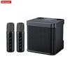 20W Powerful Wireless Portable Dual Microphone Bluetooth Sound Outdoor Family Party Karaoke Subwoofer Boom Box with 2 Microphone