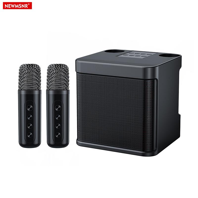 20W Powerful Wireless Portable Dual Microphone Bluetooth Sound Outdoor Family Party Karaoke Subwoofer Boom Box with 2 Microphone