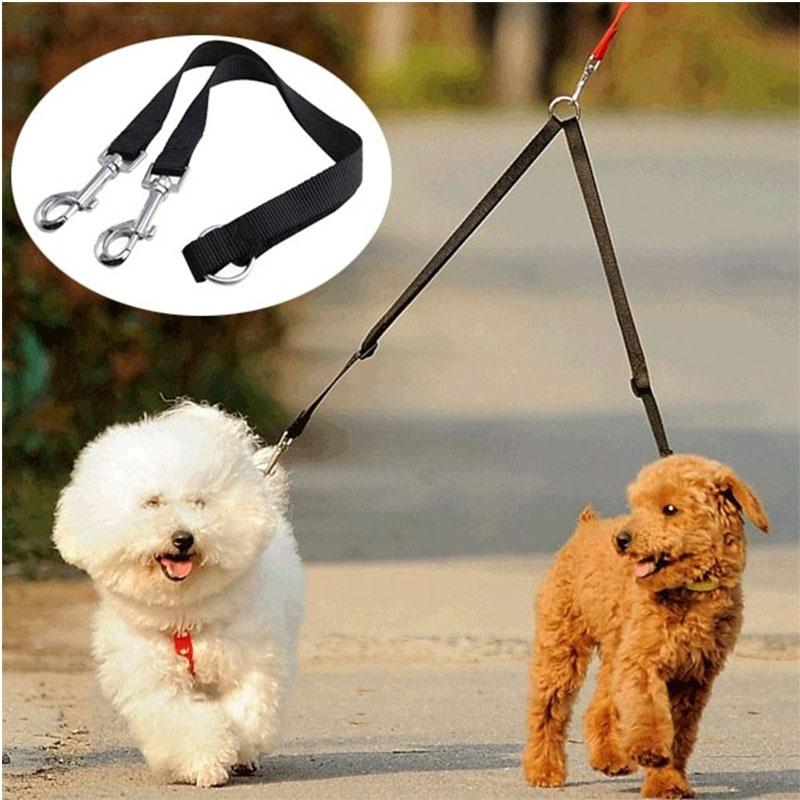 dual leash