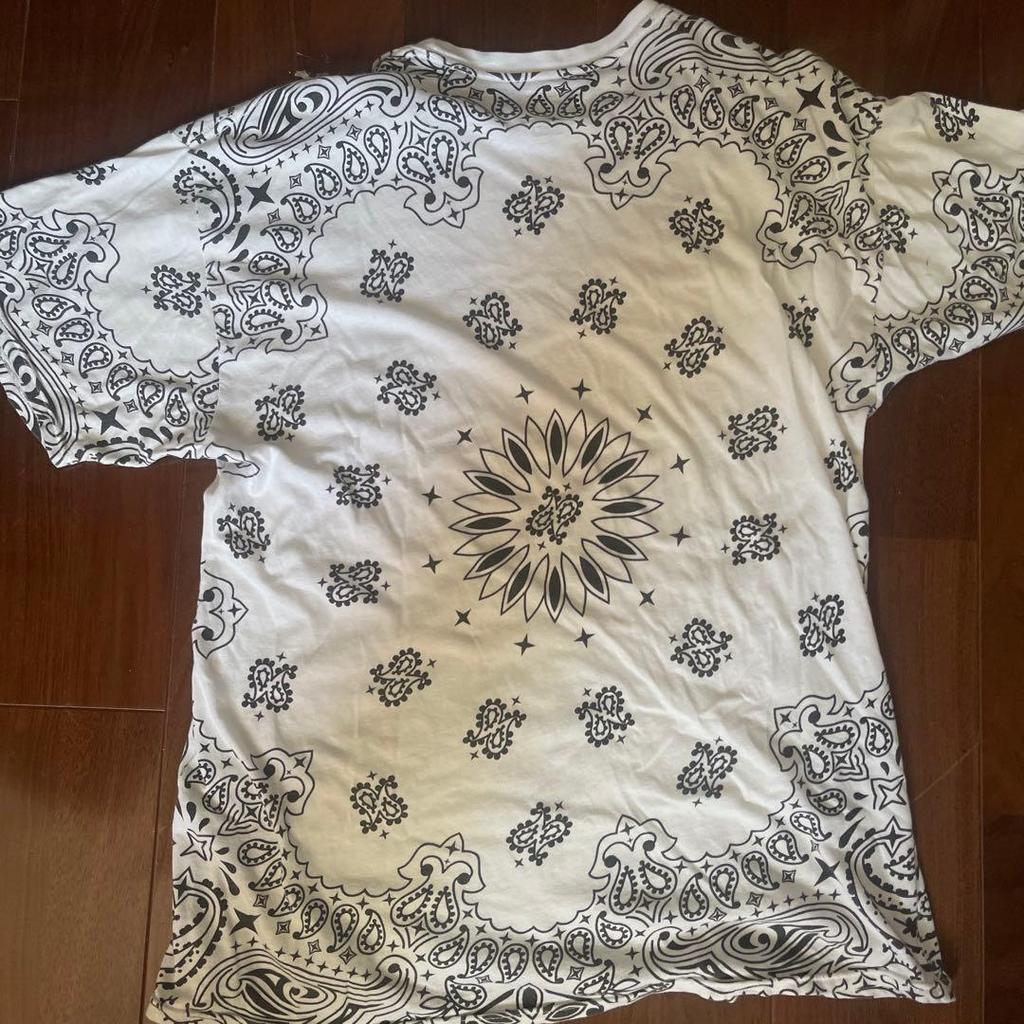 Used Supreme Hanes Bandana Print T-shirt Size L