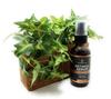 Premium Retinol Undiluted Hyaluronic Vitamin Vitamin and Aloe Large Made in the Serum, Retinol, Acid, A, E, Vera. Organic, Capacity, USA.