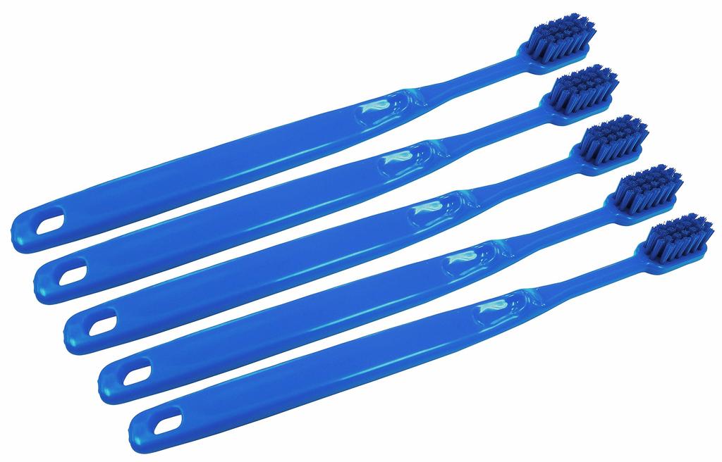 Takasago HP Toothbrush-Type Brush, Blue, Pack of 5
