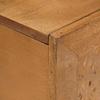 Coffee Table Light Brown 100 x 54 x 40 cm Solid Mango Wood