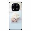 Tempered Glass Phone Case for Redmi Note 14 Pro 4G Cover Lion Wolf Hard Shell for Xiomi Redmi Note14Pro 4G Note 14Pro Cover Cool