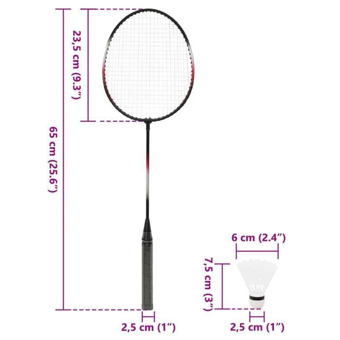 Badminton Set - VIDAXL - 2 Rackets, Net and Storage Case - Multicoloured - 292x30x152 Cm - For Children