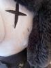 [USED] SALE!! BIGBANG Jiyong Plush Toy