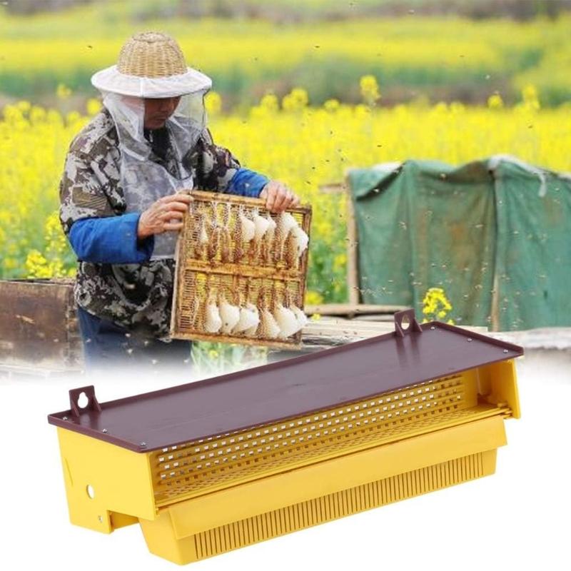 Cattura Polline Apicoltura Plastica Rimovibile Vassoio Ventilato Accessori Facili da Installare