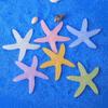 Luminous Starfish Resin Jewelry Accessories - DIY Handmade Materials