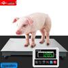 Yingheng Rechargeable Electronic Floor Scale