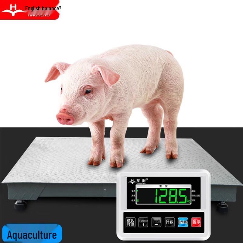 

YingHeng 1-Ton Rechargeable Electronic Platform Scale
