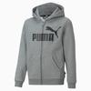 Essentials Big Hoodie Cotton Grey