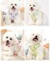 Custom Adjustable Neoprene Luxury Fruit Pattern Printed Webbing Breathable Comfortable Hook Loop Closure Hand Wash Dog Harness S