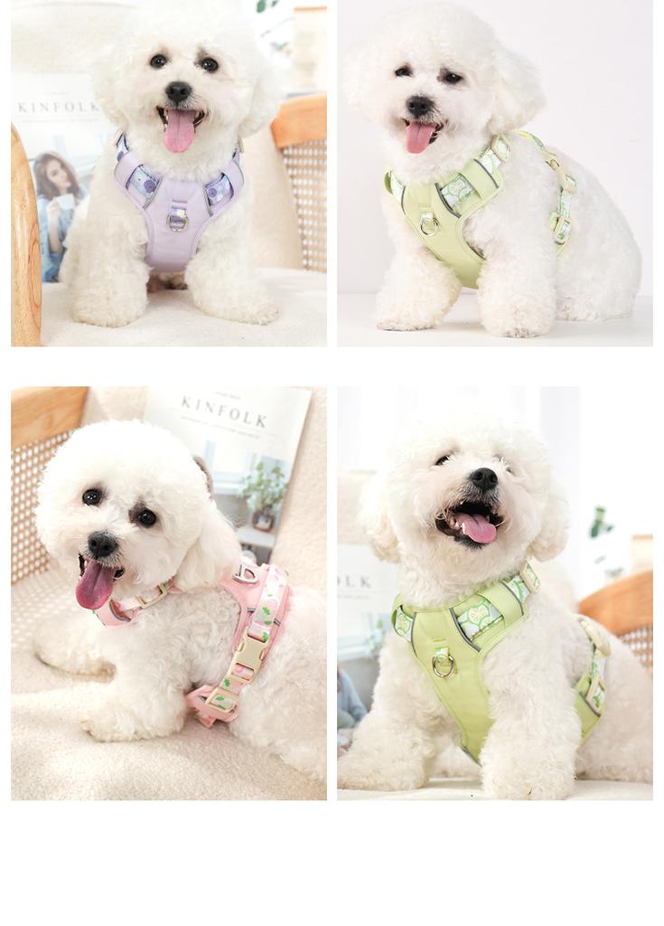 Custom Adjustable Neoprene Luxury Fruit Pattern Printed Webbing Breathable Comfortable Hook Loop Closure Hand Wash Dog Harness S