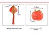 Spring Festival Double Happiness Red Lantern LED String Lights - Festive New Year Decoration