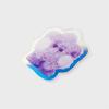 LINE FRIENDS BT21 SHOOKY Purple of Wish Edition MININI Acrylic Clip Magnet