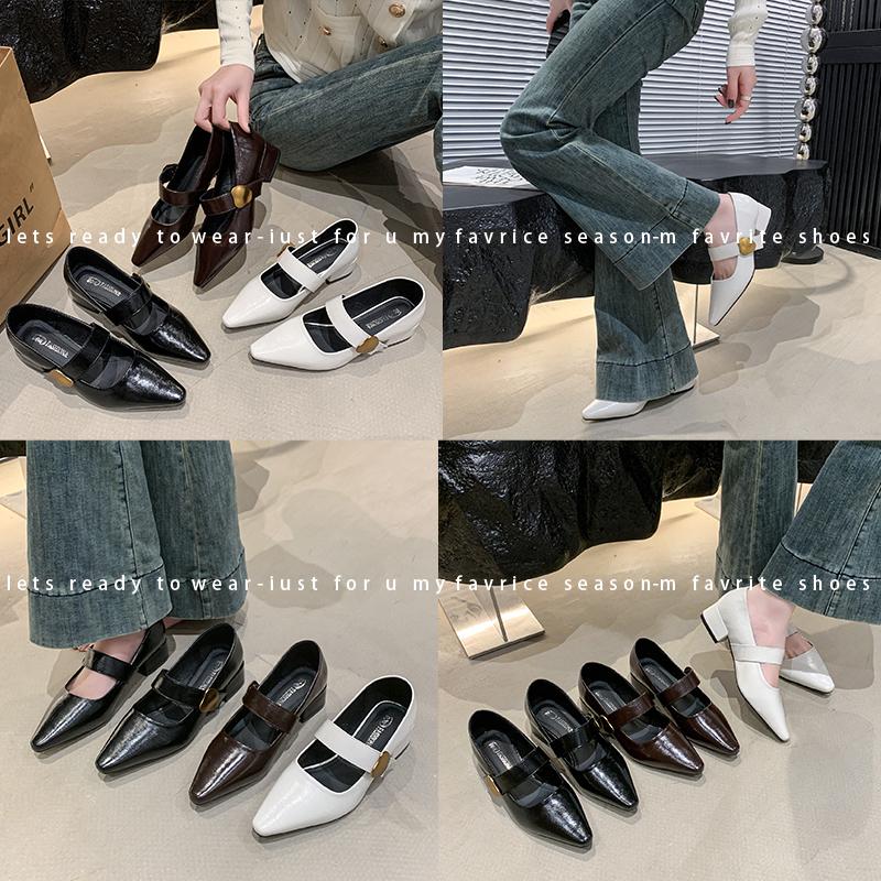 French Style Thick Heel Shallow Mouth Single Shoe for Women, Spring  New Style Pointed Fashion Mary Jane Small Leather Shoes