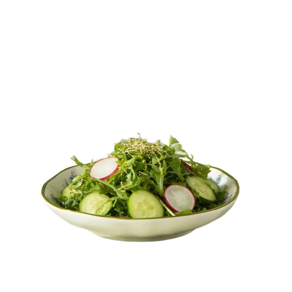 Japanese Ceramic Dining Set: Noodle Bowl, Bathtub Bowl, Microwave-Heating Bowl, High-Temperature Soup Bowl, and Chopsticks.