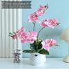 Artificial Phalaenopsis Floral Arrangement for Living Room Display - Potted Decoration for TV Cabinet