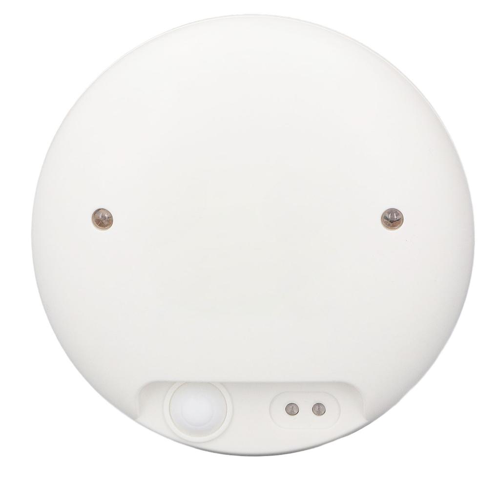 Fruit Vegetable Washing Machine Home Portable Negative Ion Vegetable Purifier USB Charging Food