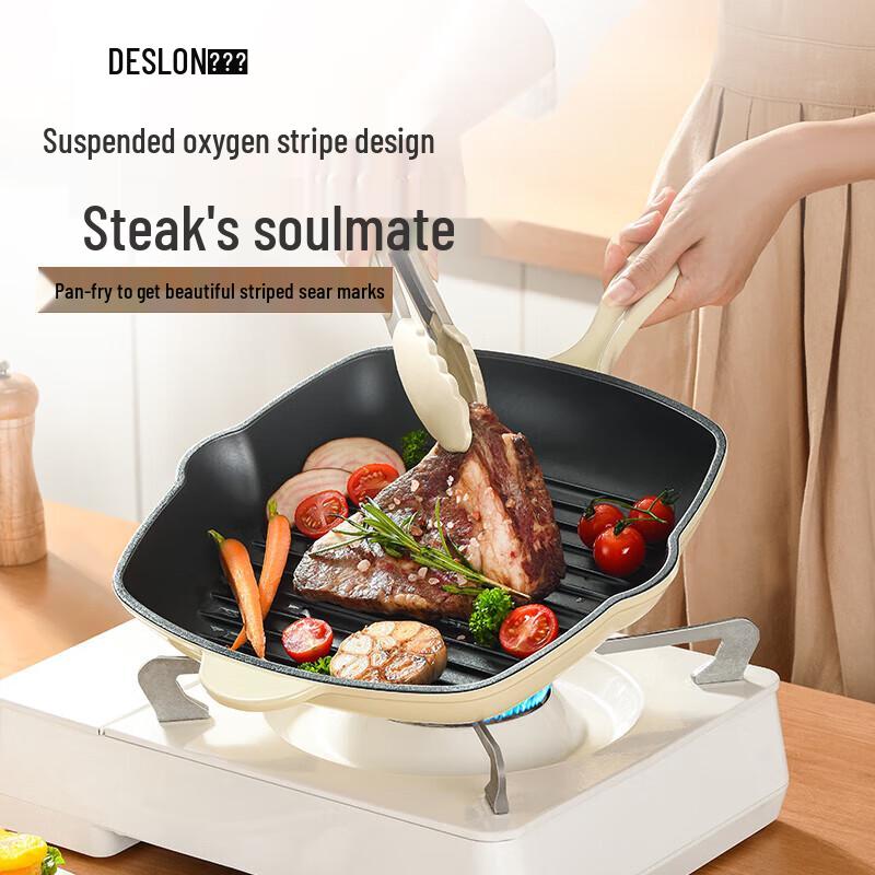 Deslon Enamel Cast Iron Steak Frying Pan