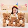 Cute and Soft Birthday Cake Bear Plush Doll - Perfect Gift for Girls