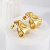 Light Luxury Temperament Stud Earrings Women's Simple Smooth Irregular Special-shaped High-end Earrings Stainless Steel Earrings