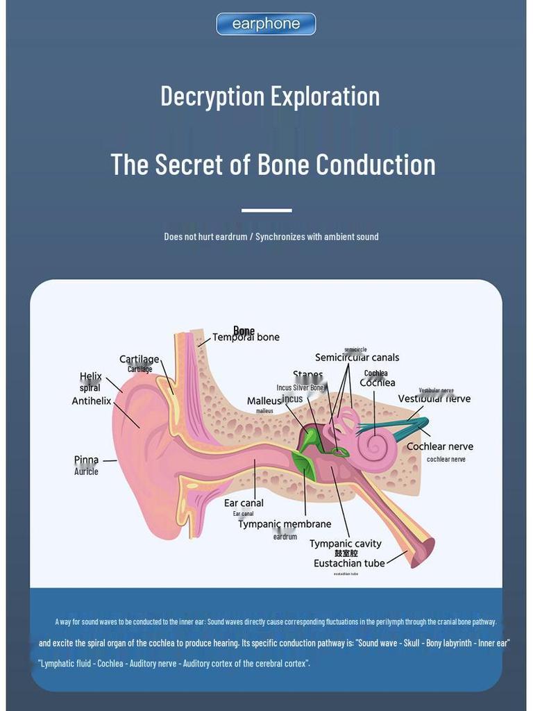 V18 Bone Conduction Bluetooth Wireless Earphones, Clip-On, Non-In-Ear, for Business and Sports Running.