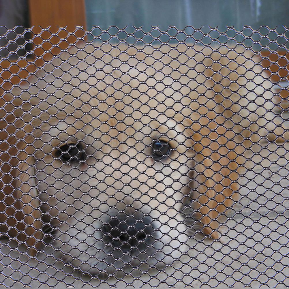 portable wire pet gate