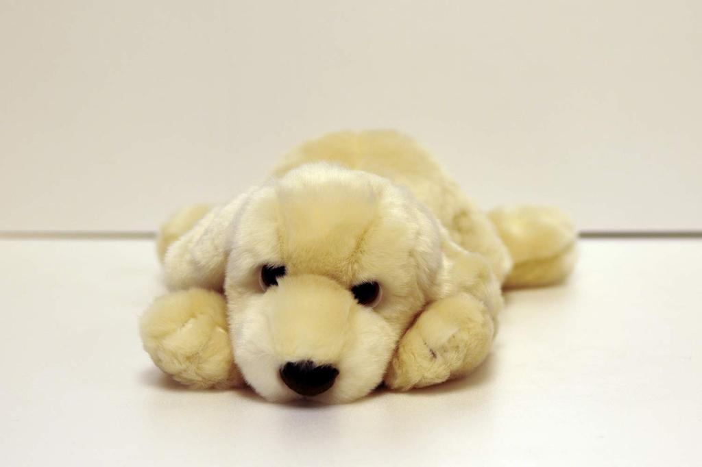 Yoshitoku Labrador Retriever Plush Small Toy, White,