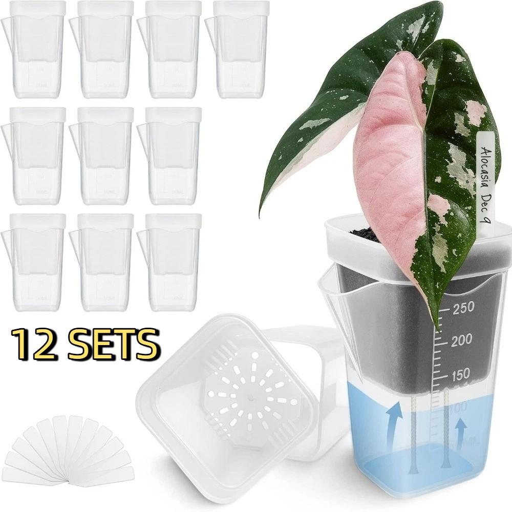 12 Set Dual Layers Self Watering Pots Clear Plastic Seedling Plant Pot Plant Propagation