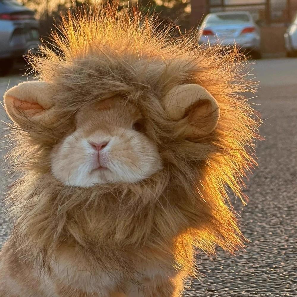 Comfortable Fit Soft Lion Mane Wig Cap Hat Breathable Funny Dog Cat Wig Hat Fluffy Creative Pet Costume Cosplay
