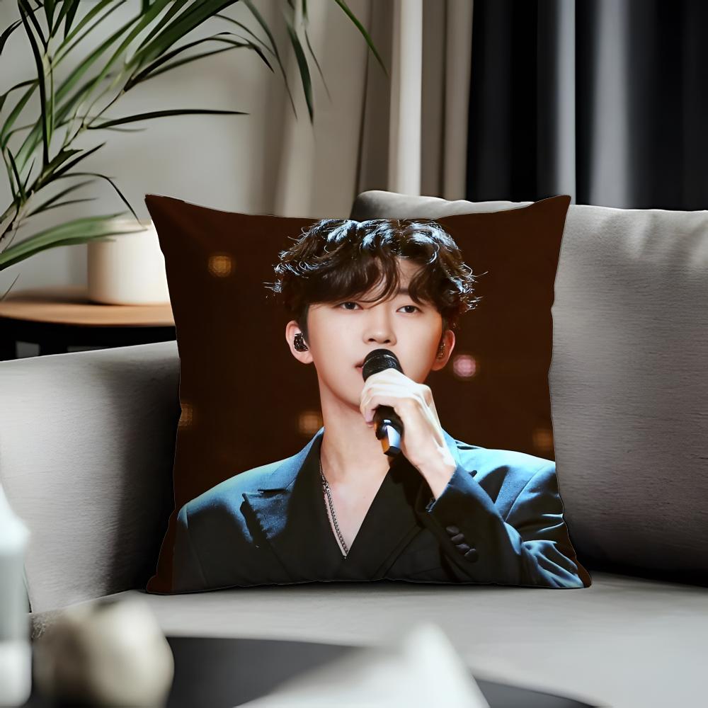 Trending LLlim Young Woonged Cushion Cover Antidustmite Pillowcase Invisible Zipper Silky Short Plush Sofa Cushion Cover