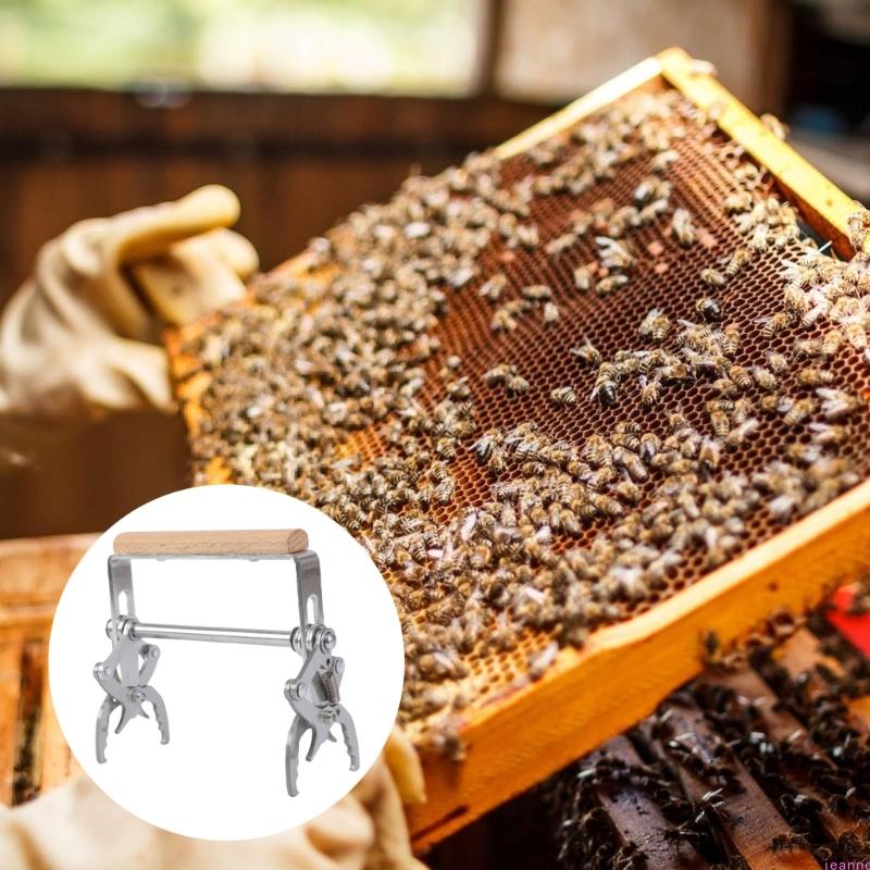 Beekeeping Frame Gripper aus Edelstahl mit glattem Holzgriff für sichere Wabenrahmenhandhabung