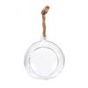 Simple Glass Transparent Hanging Vase Creative 6/8/10/12/15cm Succulents Plant Ball Container Flower Pot Home Decoration