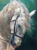 Diamond Art Painting Horse Full Round Embroidery Mosaic Animal Handmade Home Decor