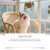 Pet Oral Spray - Freshens Pet Breath. Suitable For Daily Cleaning. Can Be Used For Both Cats And Dogs,100ml