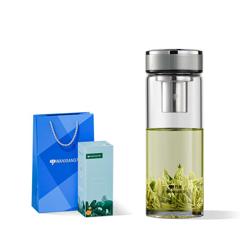 Portable Single-Layer Glass Tea Infuser Bottle